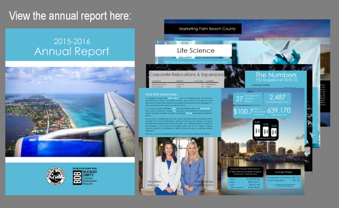 2015-2016 BDB Annual Report